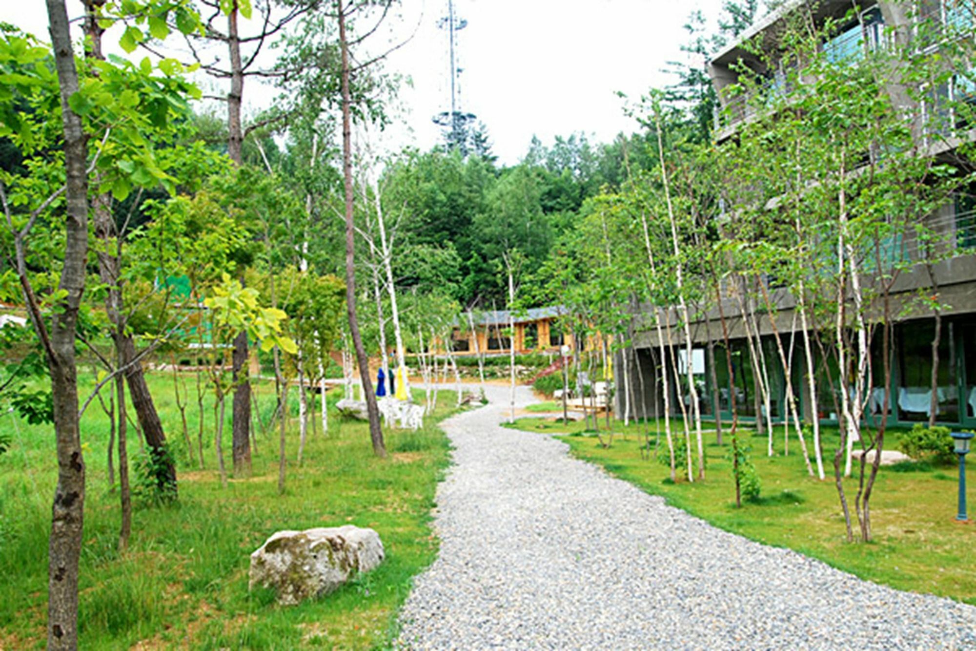 Hotel Pyeongchang The Sky Forest Esterno foto