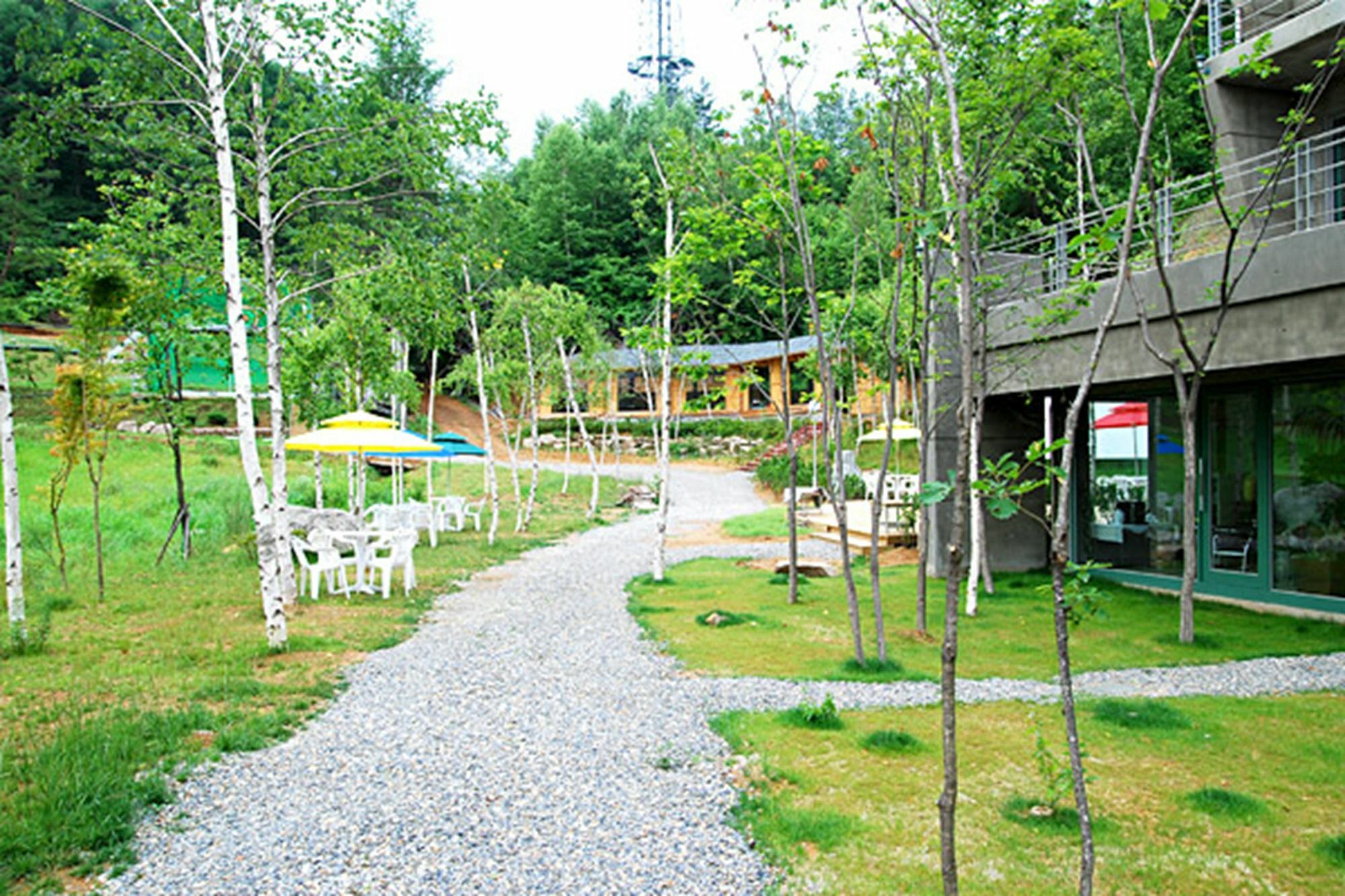 Hotel Pyeongchang The Sky Forest Esterno foto